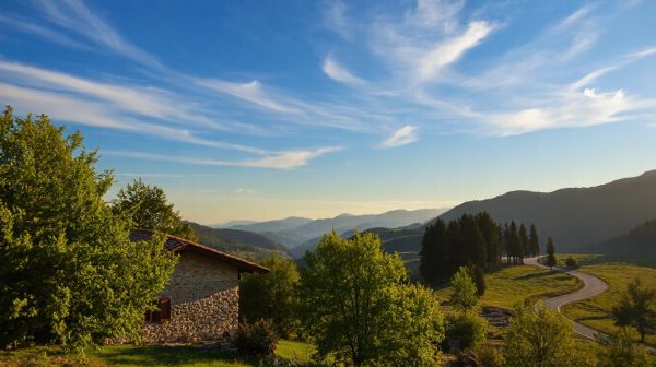 Les tendances du viager en Rhône-Alpes : enjeux et opportunités